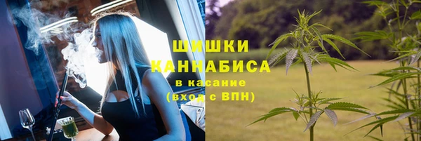 трава Гусев
