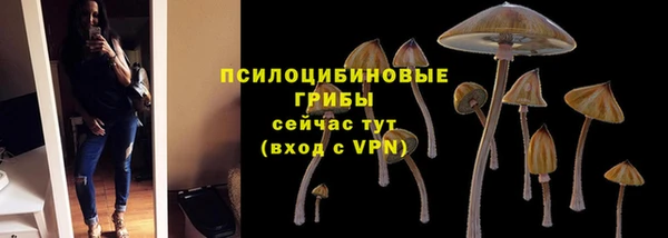 трава Гусев