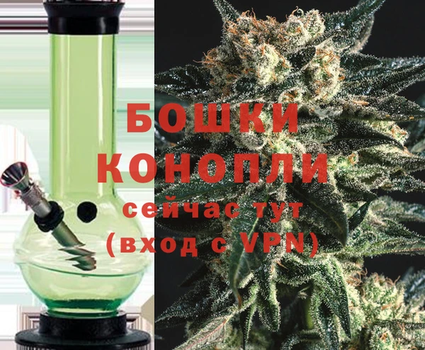 трава Гусев