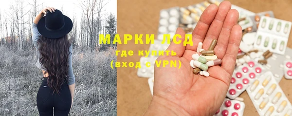 трава Гусев