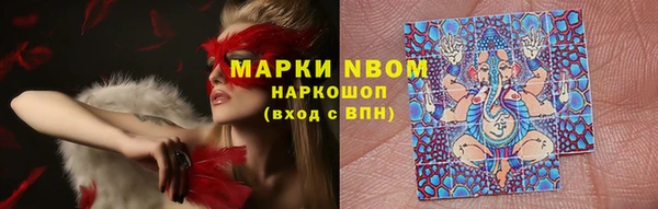 трава Гусев