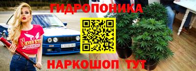 марки nbome Заводоуковск