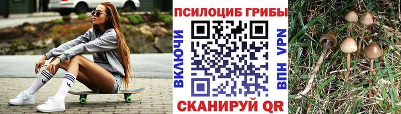 Галлюциногенные грибы GOLDEN TEACHER  нарко площадка Telegram  Наро-Фоминск 