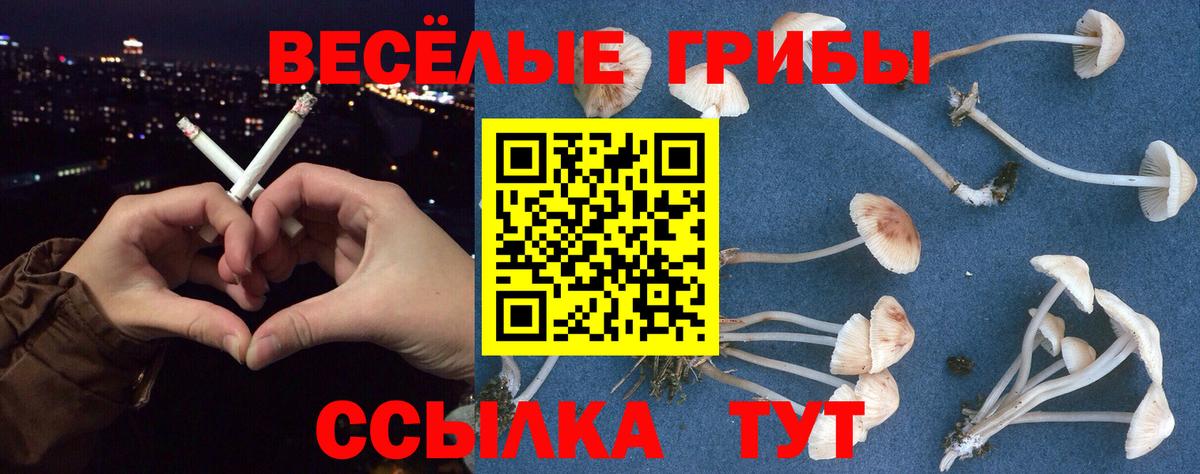 Галлюциногенные грибы Psilocybe  Галлюциногенные грибы Magic Shrooms  Наро-Фоминск 